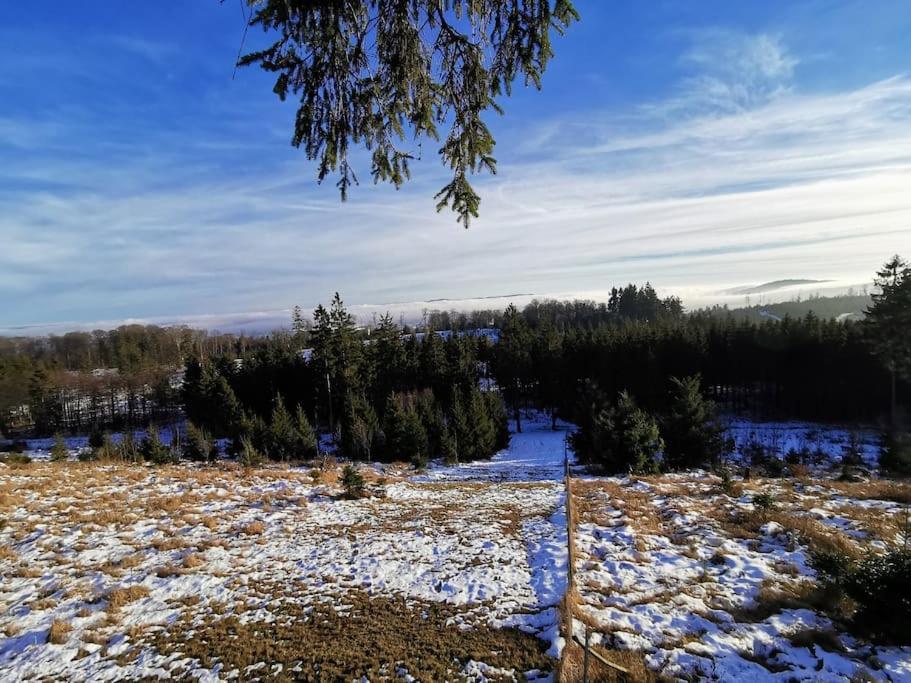 Fewo Albrecht Direkt Am Diemelsteig Diemelsee Luaran gambar